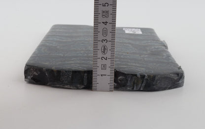 Stabilized mammoth molar scales