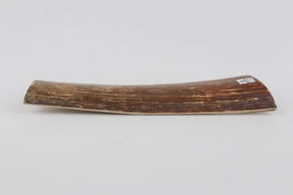 Brown-orange mammoth bark