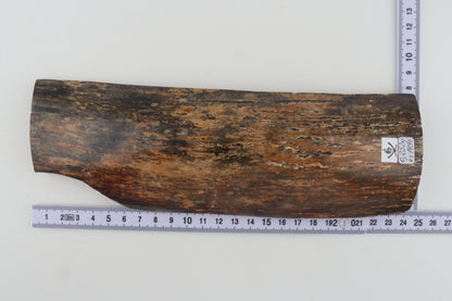 Green-mustard mammoth bark