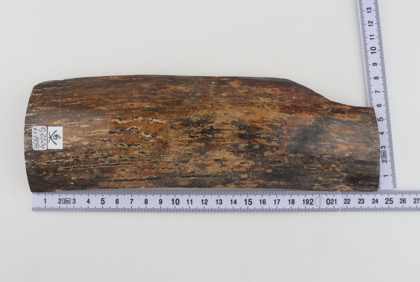 Green-mustard mammoth bark