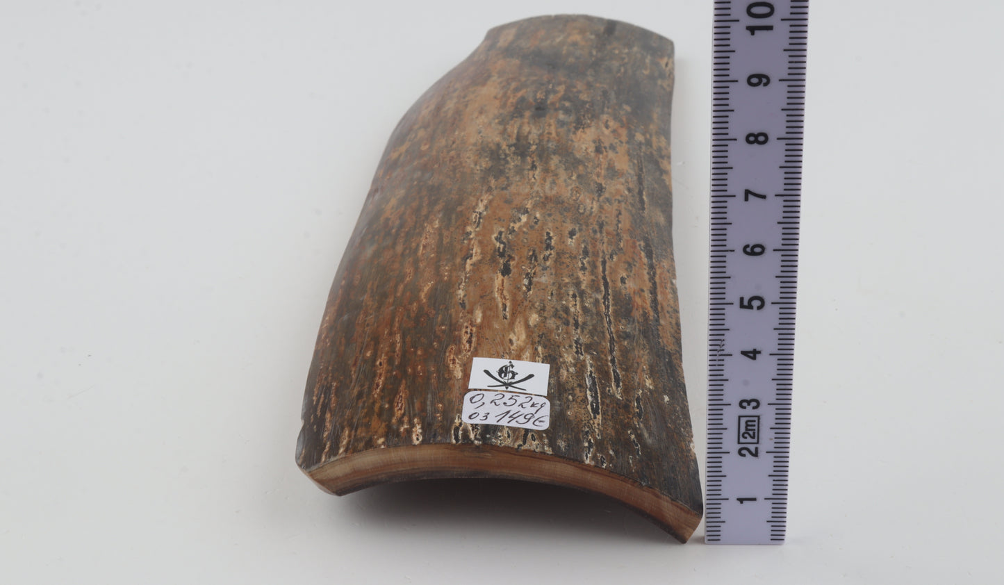 Green-mustard mammoth bark