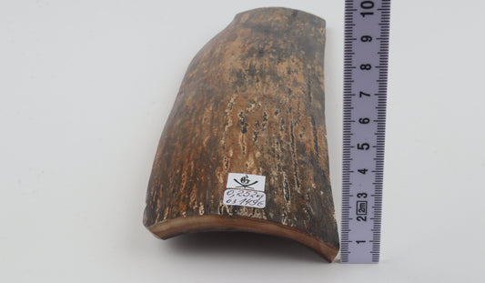 Green-mustard mammoth bark