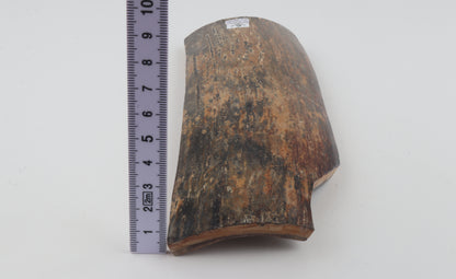 Green-mustard mammoth bark