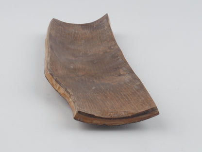 Green-mustard mammoth bark