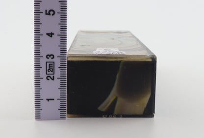 Stabilised mammoth ivory block
