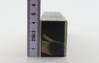 Stabilised mammoth ivory block