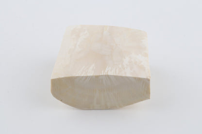 White mammoth ivory segment