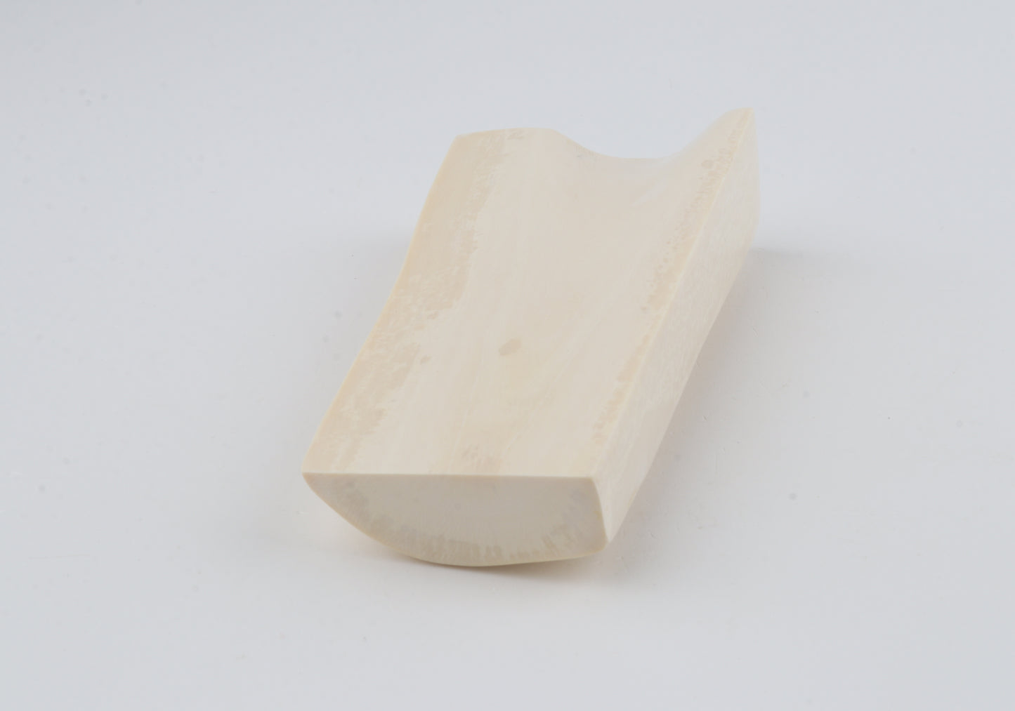 White mammoth ivory segment