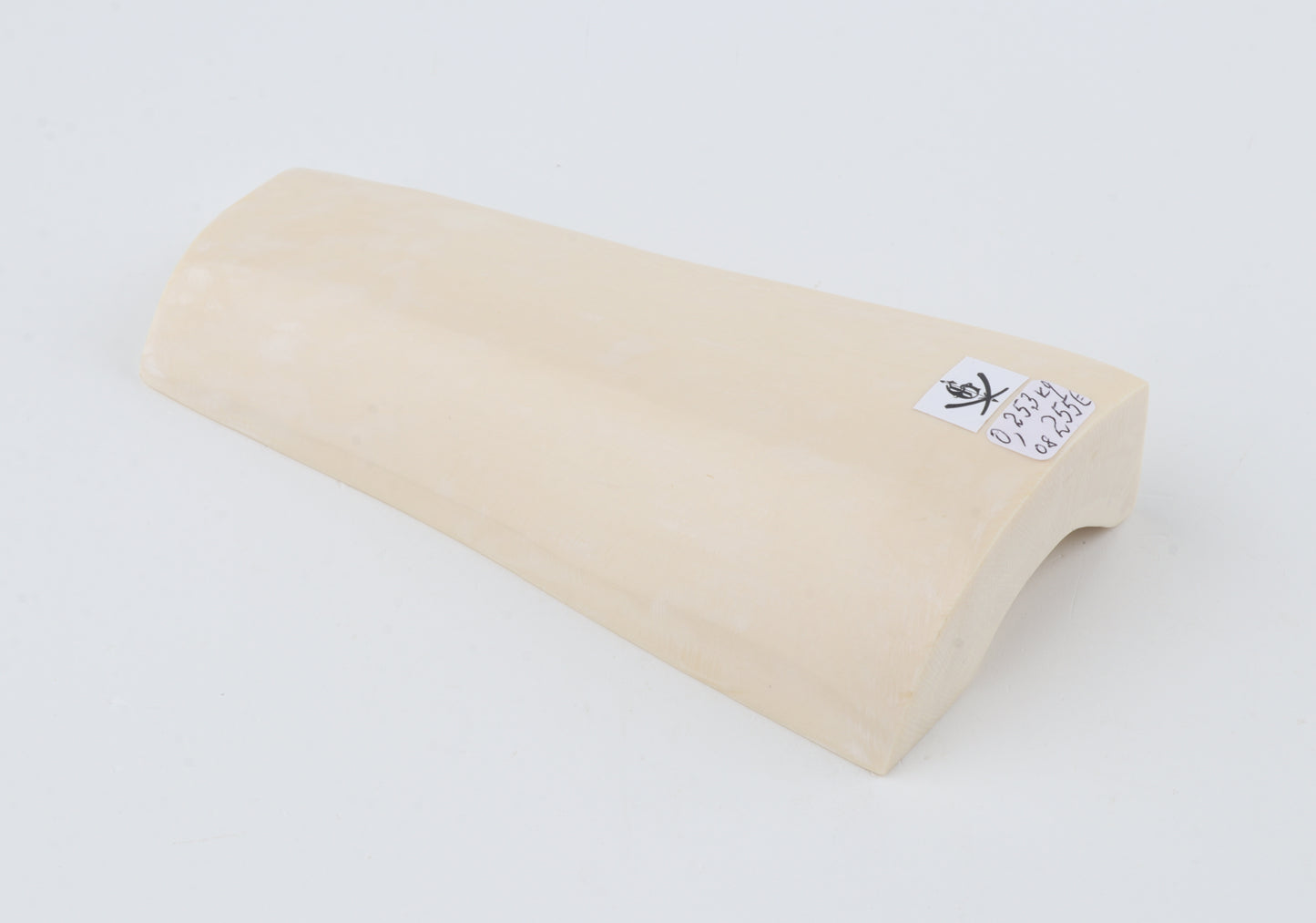 White mammoth ivory segment