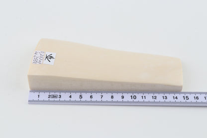 White mammoth ivory segment