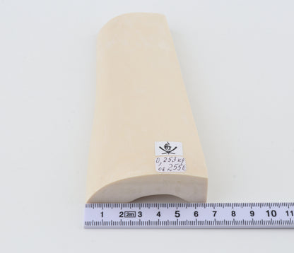 White mammoth ivory segment