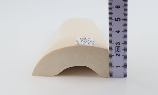 White mammoth ivory segment