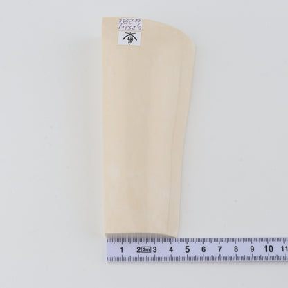 White mammoth ivory segment
