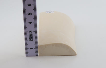 White mammoth ivory segment