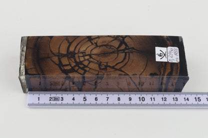 Stabilized mammoth ivory block