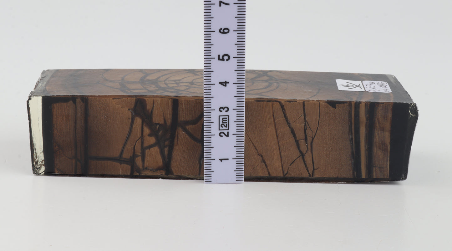 Stabilized mammoth ivory block