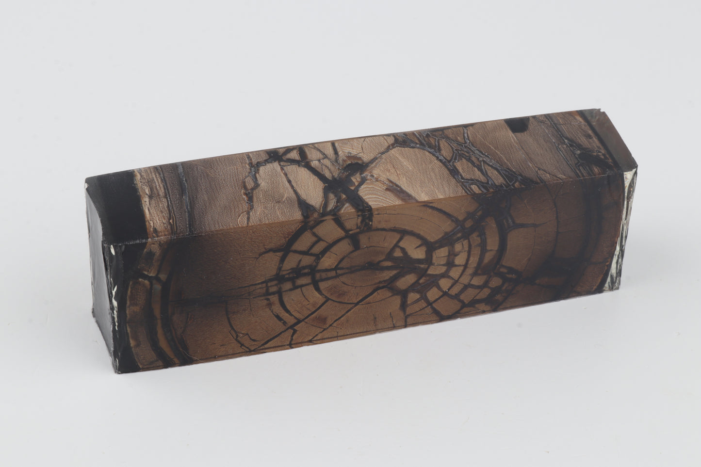 Stabilized mammoth ivory block