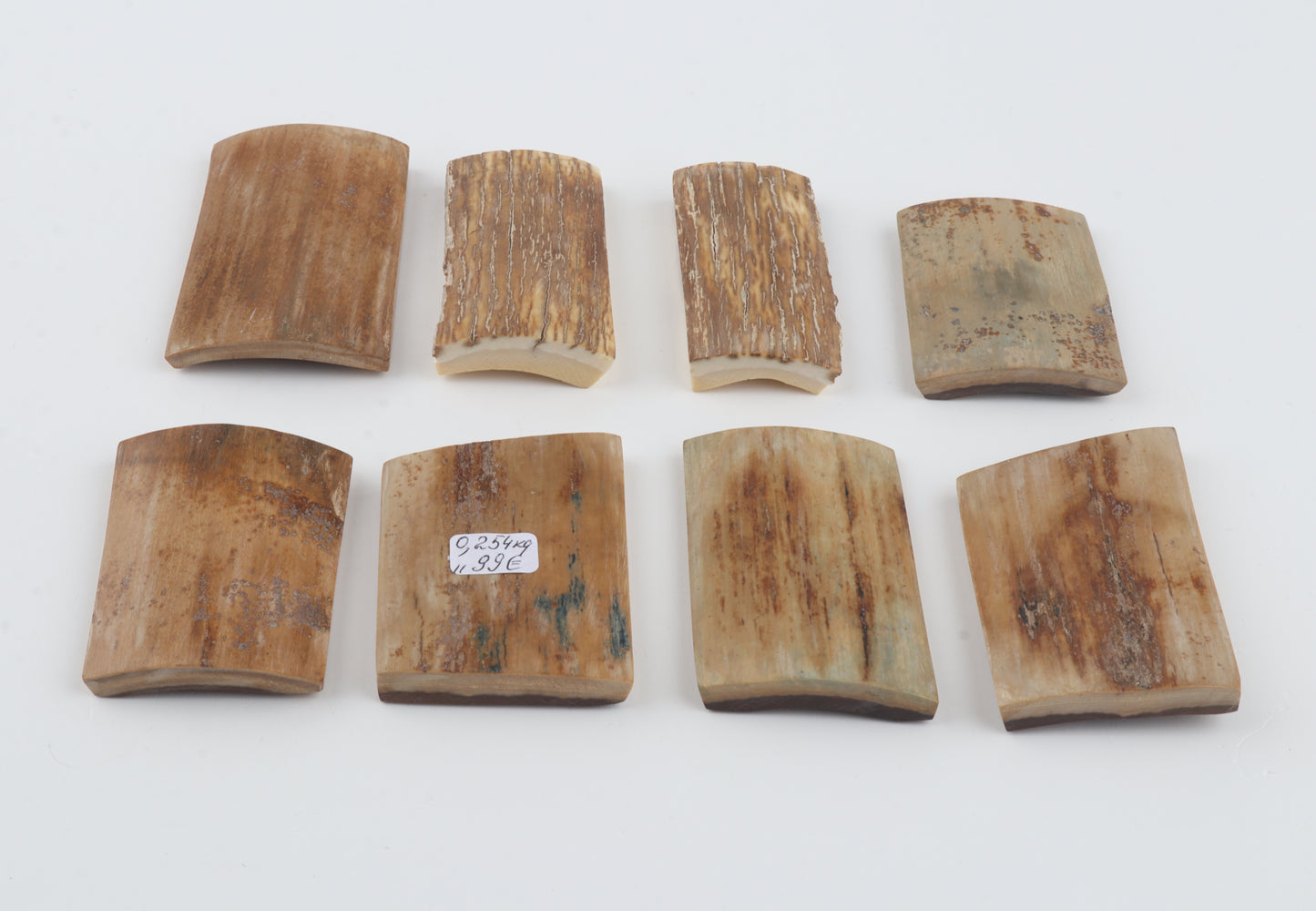 Beige mammoth bark pieces