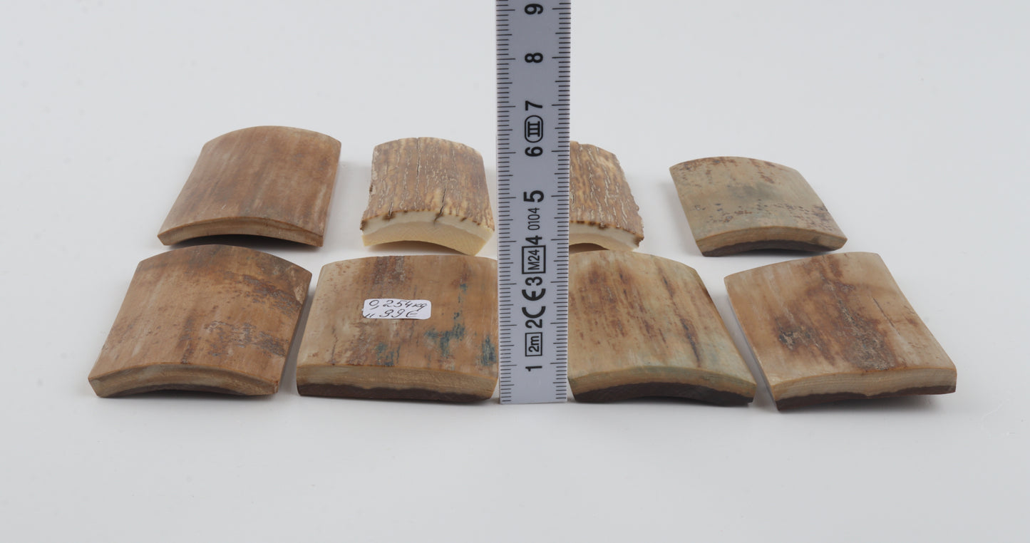 Beige mammoth bark pieces