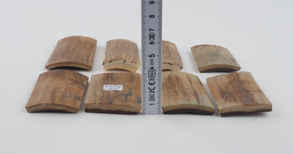 Beige mammoth bark pieces