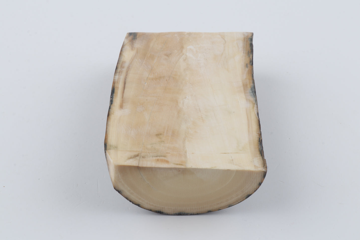 Natural mammoth ivory piece