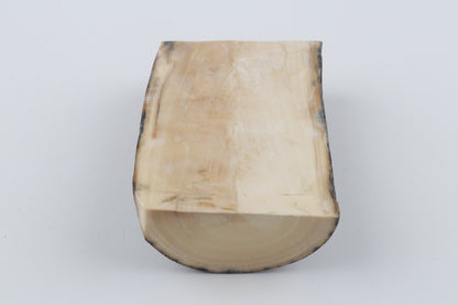 Natural mammoth ivory piece