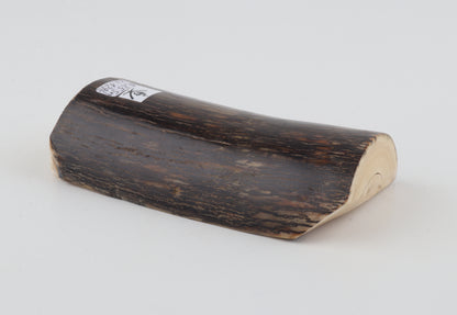 Natural mammoth ivory piece