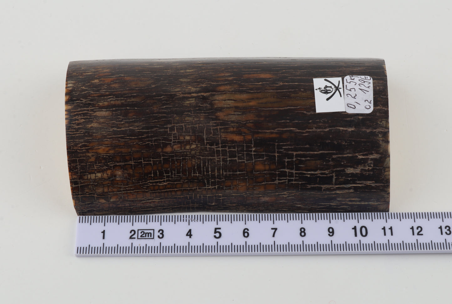 Natural mammoth ivory piece