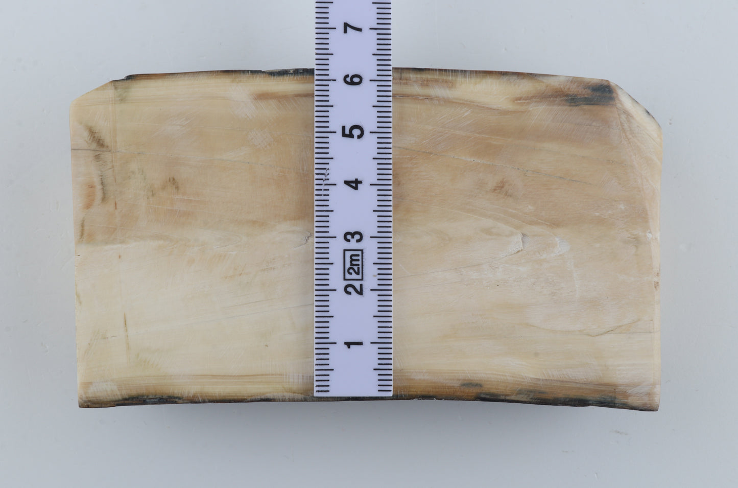 Natural mammoth ivory piece