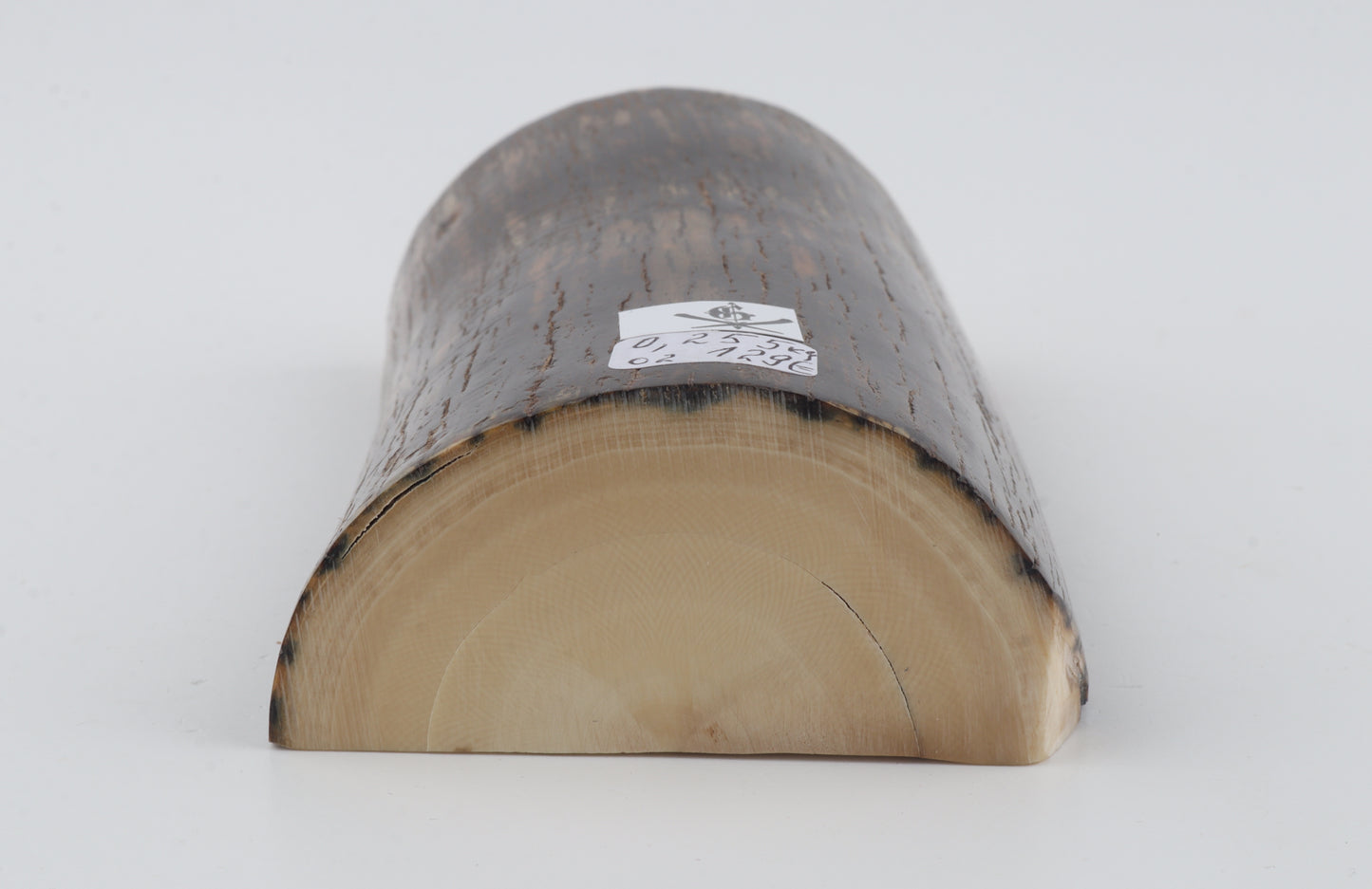 Natural mammoth ivory piece