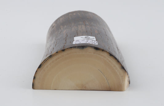 Natural mammoth ivory piece