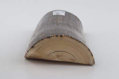 Natural mammoth ivory piece