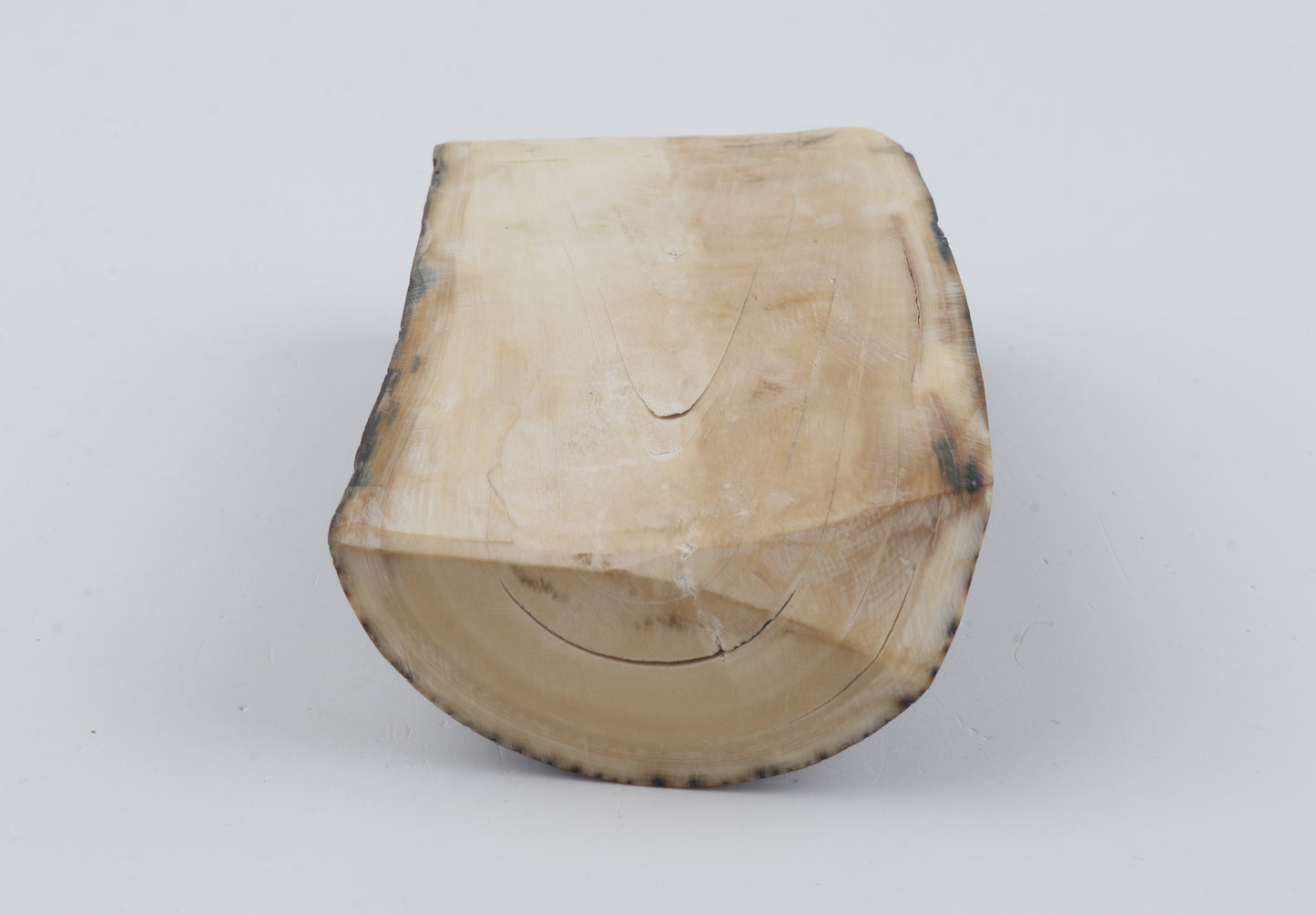 Natural mammoth ivory piece