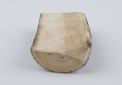 Natural mammoth ivory piece
