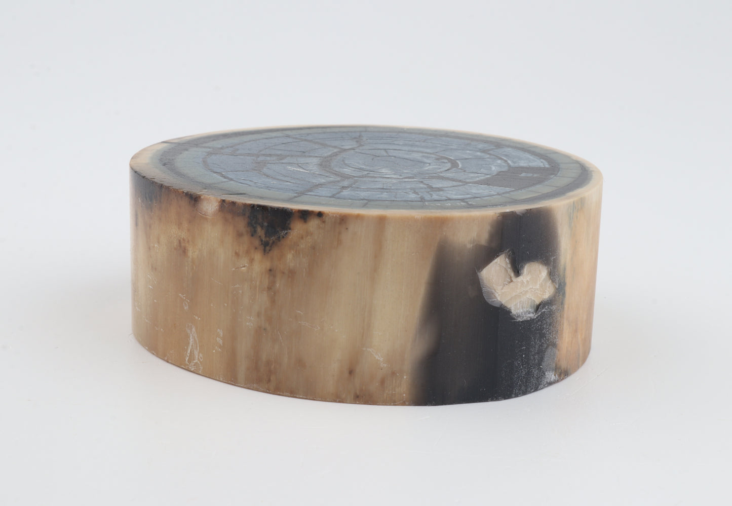 Stabilized mammoth ivory block