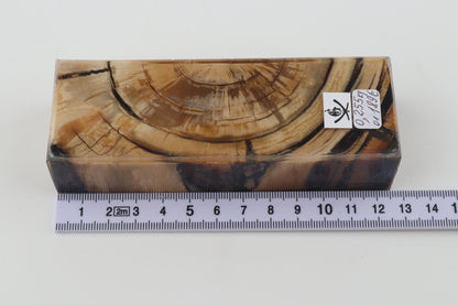 Stabilized mammoth ivory block