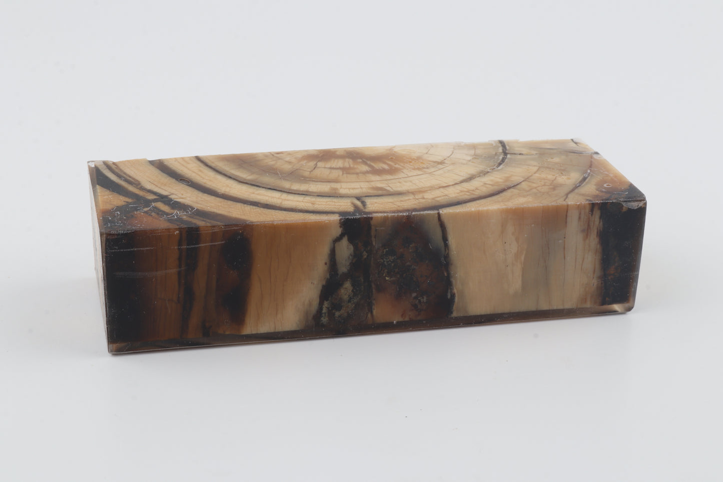 Stabilized mammoth ivory block
