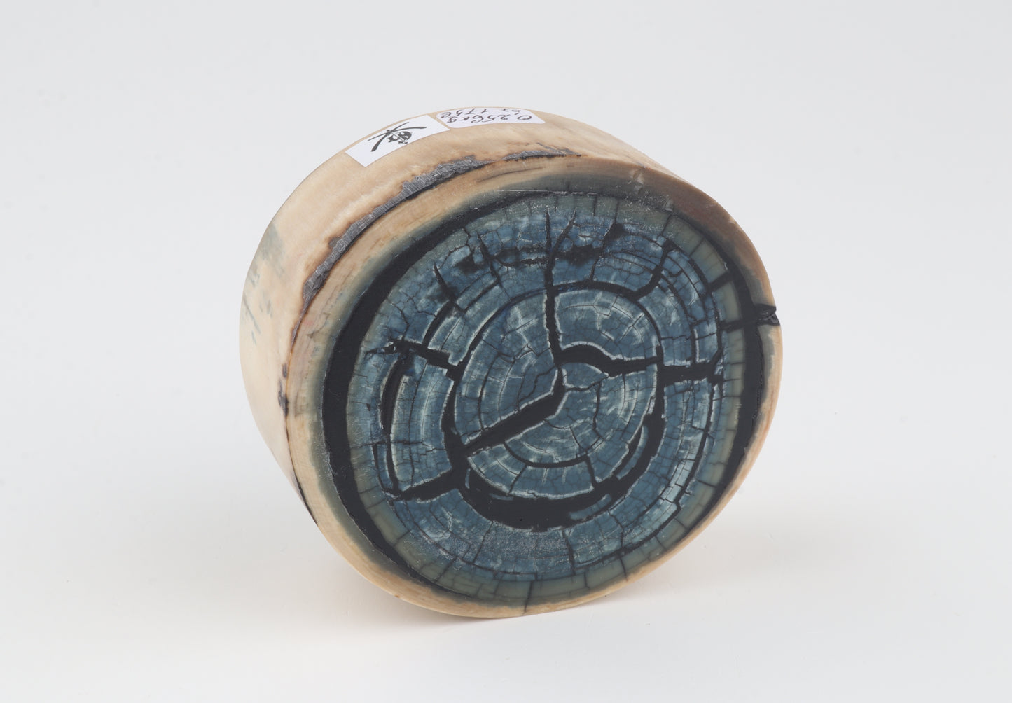 Stabilized mammoth ivory block