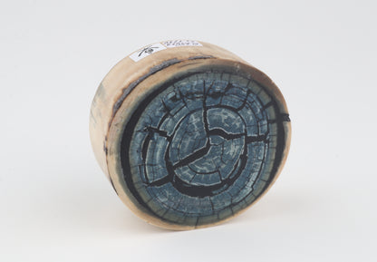 Stabilized mammoth ivory block