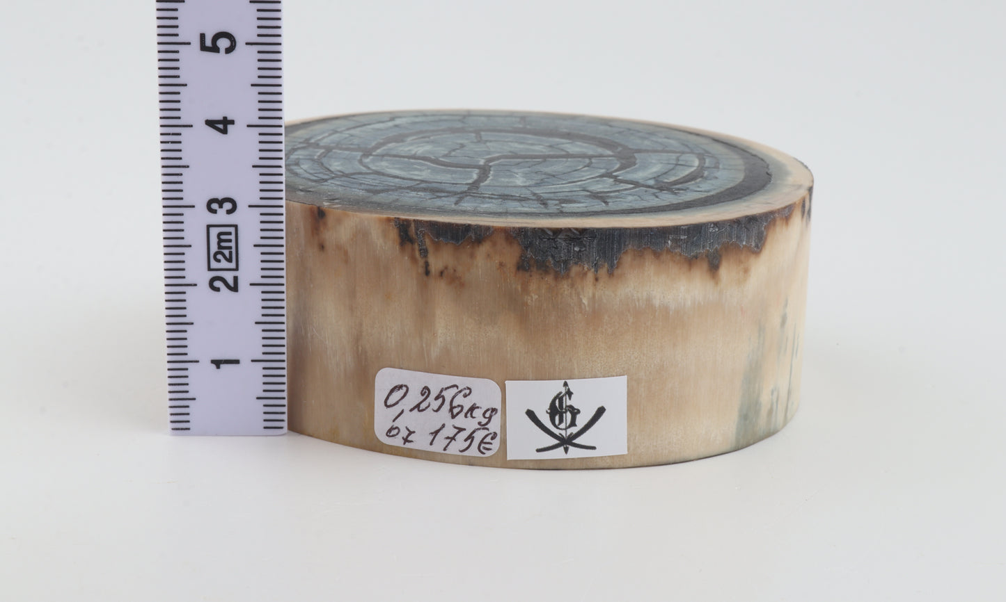 Stabilized mammoth ivory block