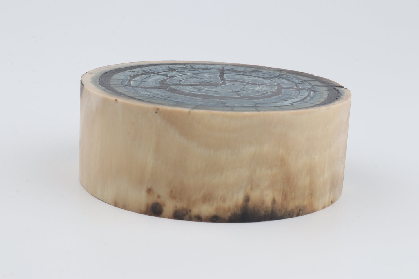 Stabilized mammoth ivory block