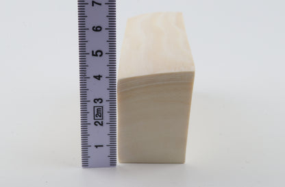White mammoth ivory segment