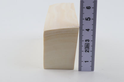 White mammoth ivory segment