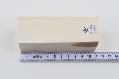 White mammoth ivory segment