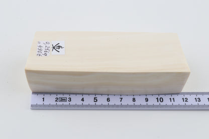 White mammoth ivory segment