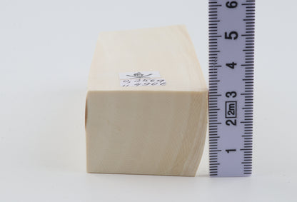 White mammoth ivory segment