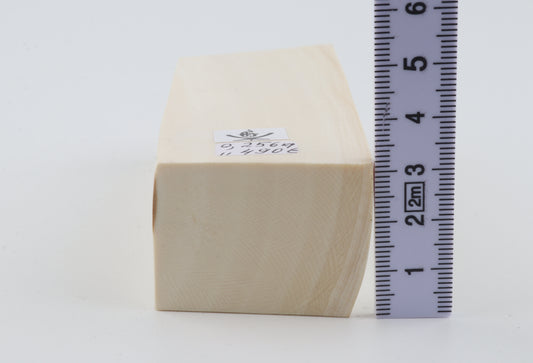 White mammoth ivory segment