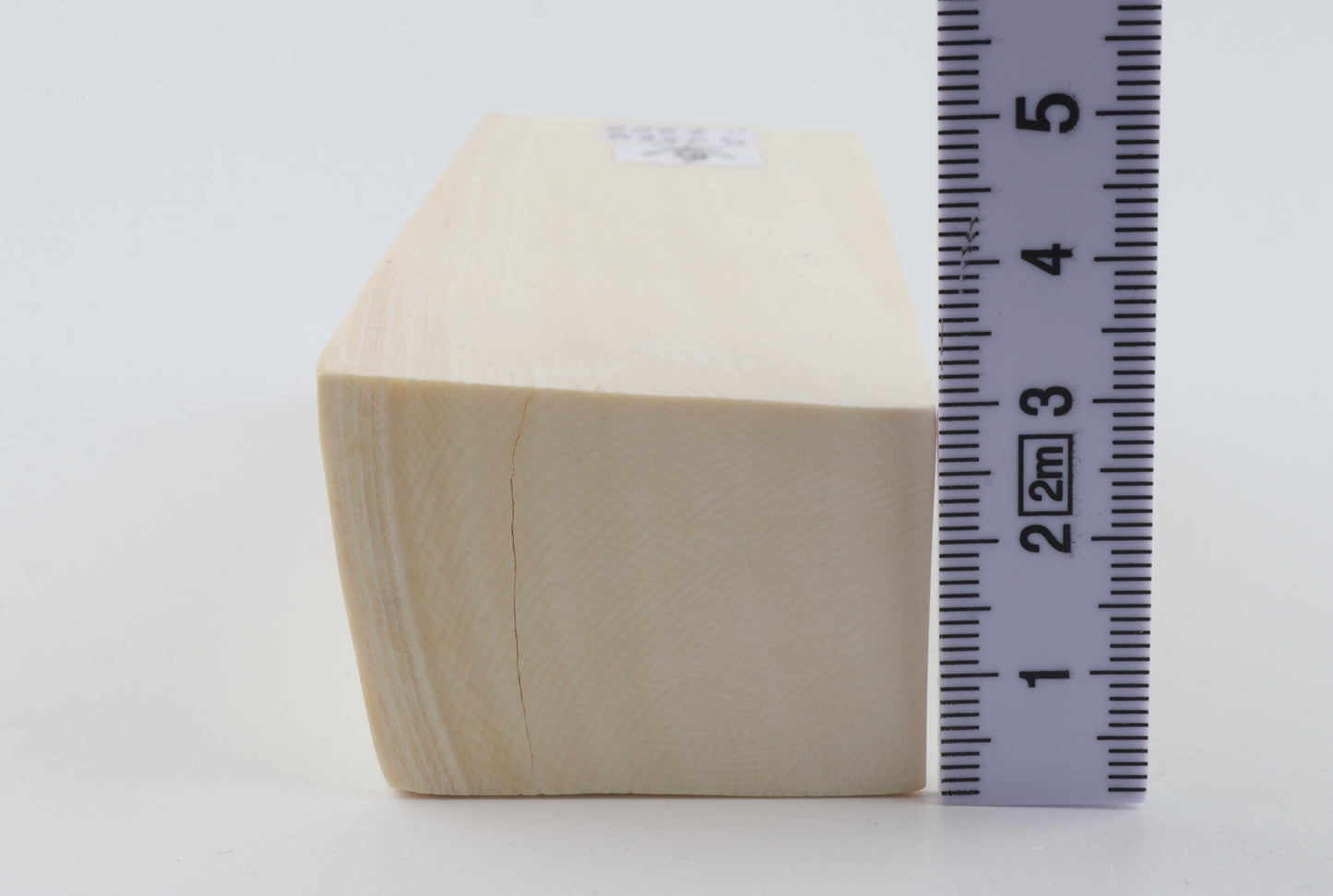 White mammoth ivory segment