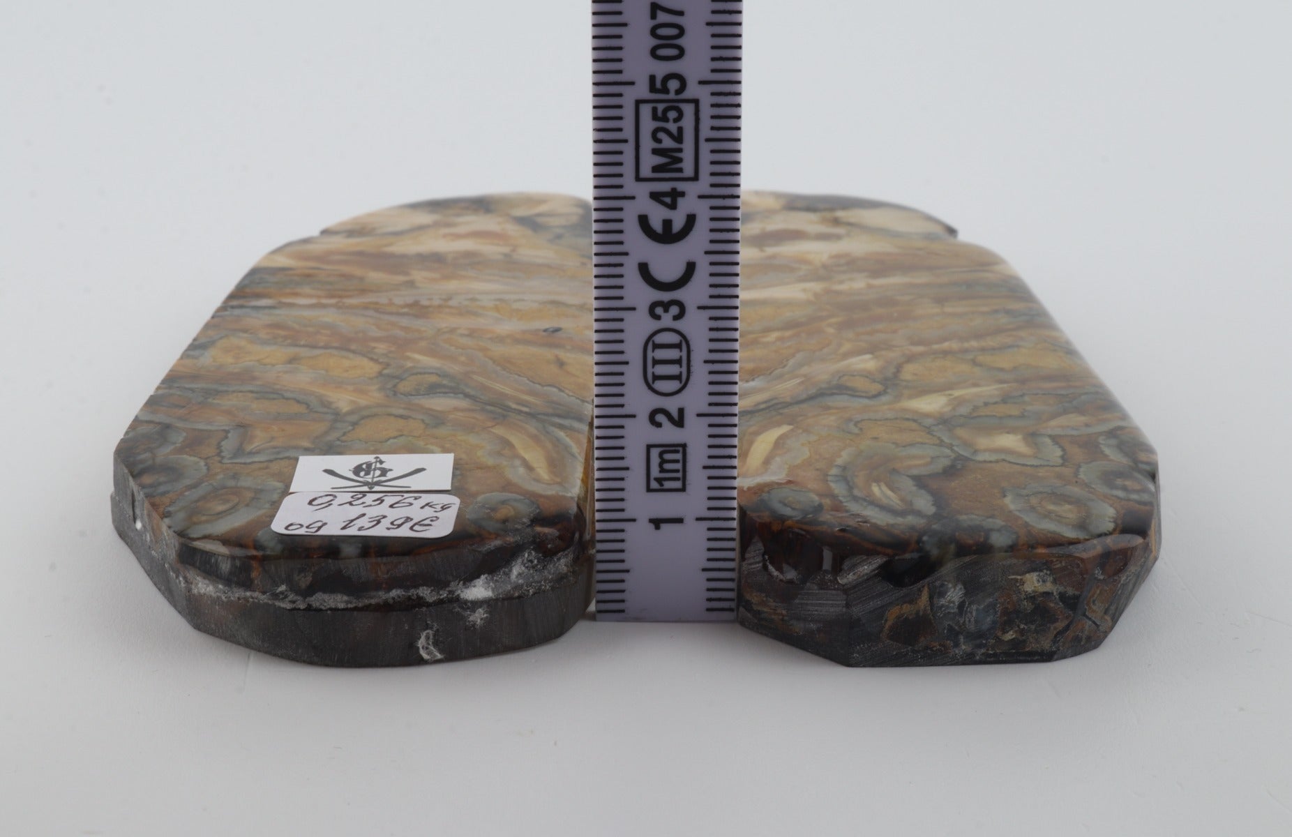 Stabilized mammoth molar scales