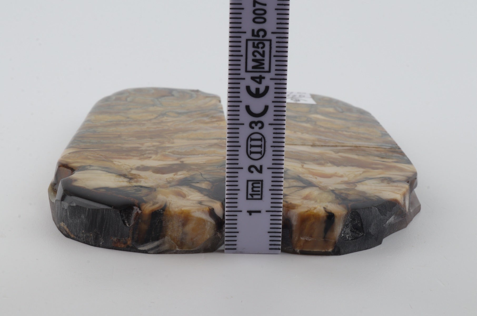 Stabilized mammoth molar scales